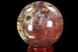 Colorful, Petrified Wood Sphere - Madagascar #98469-1